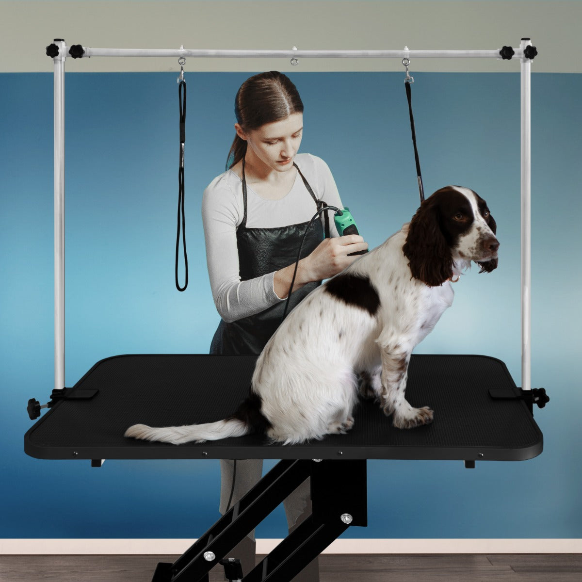 Black Hydraulic Grooming Table - Black Table Top - Used - Good