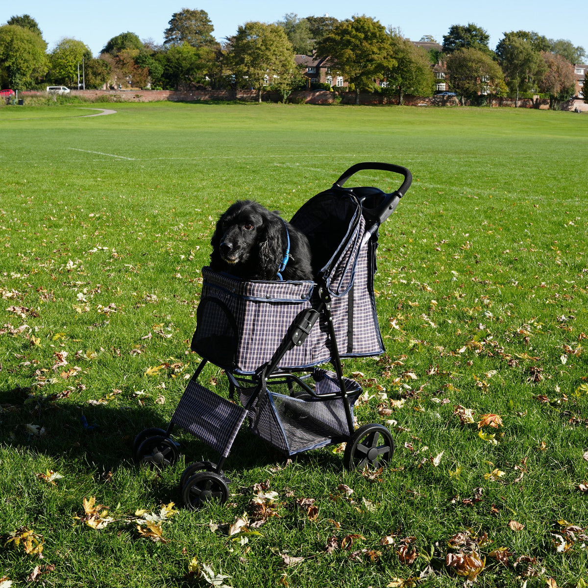 Pet Stroller with Rain Cover – Blue Tartan - Used - Good