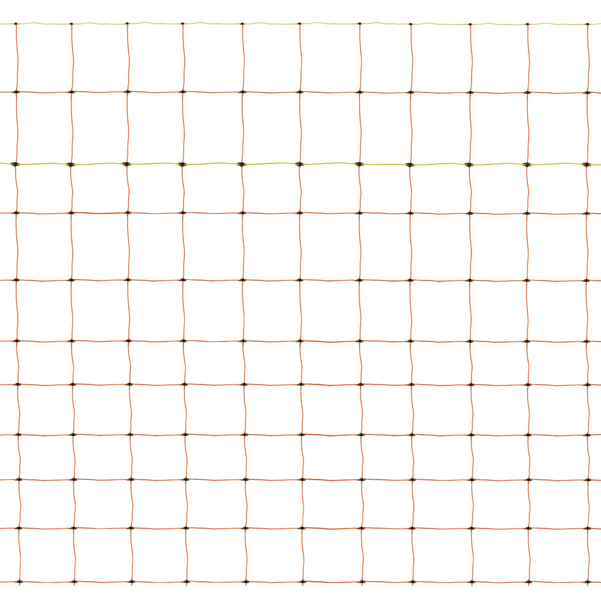 Electric Poultry Netting - 50m - Used - Acceptable