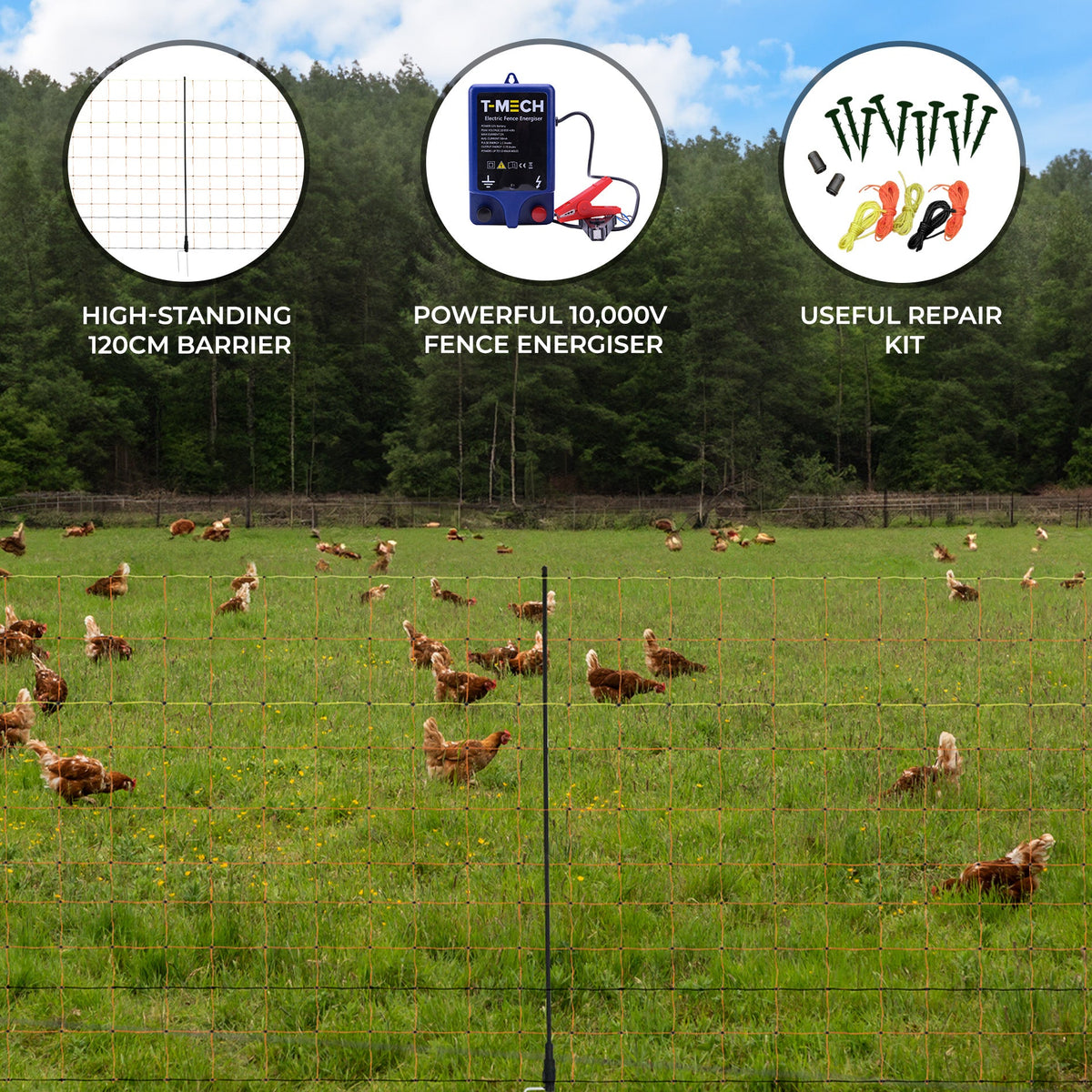 Electric Fence Energiser & Poultry Netting - 50m - Used - Good