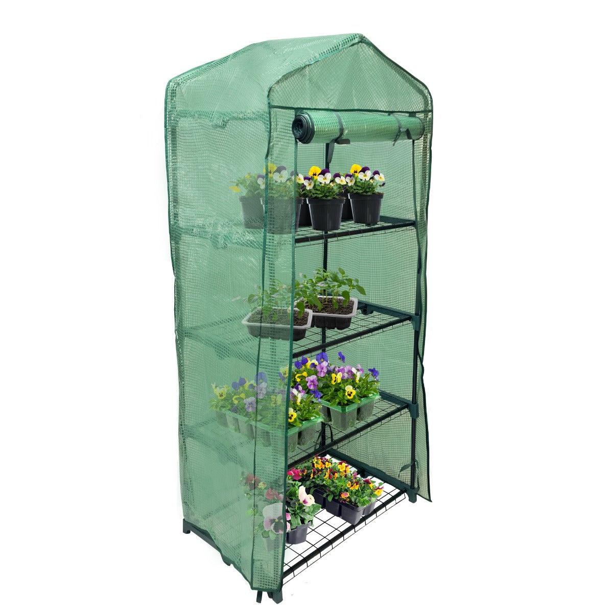 Greenhouse 4 Tier with PE Cover - Used - Acceptable