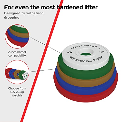 Fractional Bumper Plates - Like New