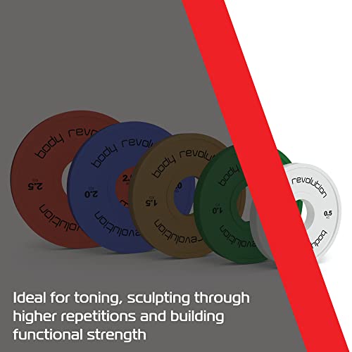 Fractional Bumper Plates - Used - Very Good