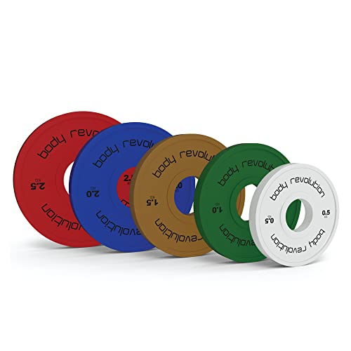 Fractional Bumper Plates - Used - Very Good