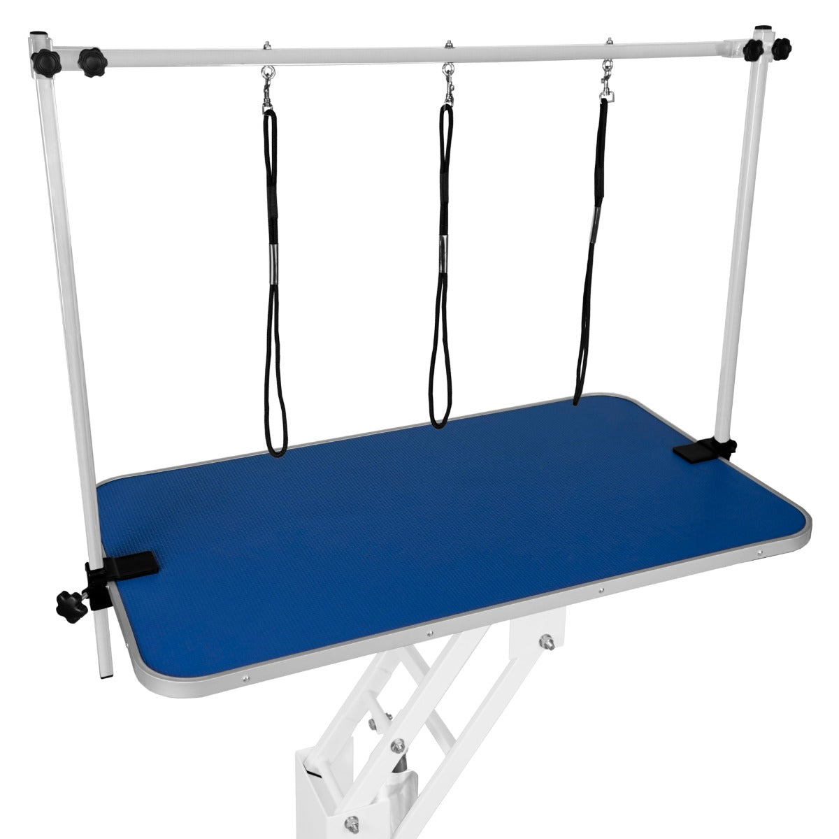 White Hydraulic Grooming Table - Blue Table Top - Used - Acceptable