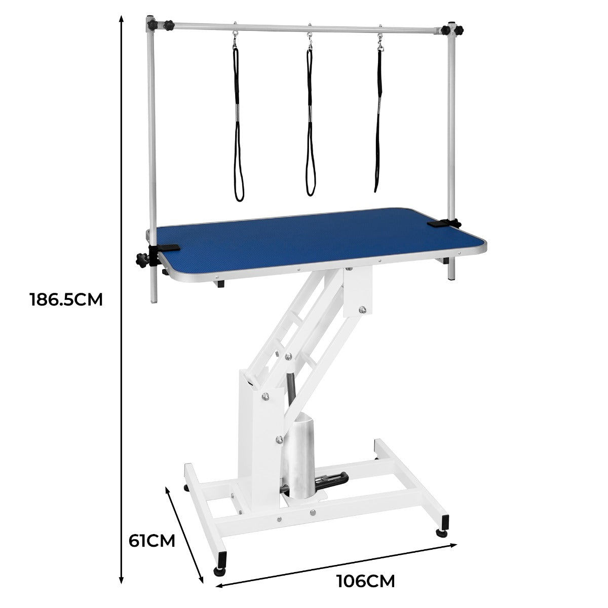 White Hydraulic Grooming Table - Blue Table Top - Used - Acceptable