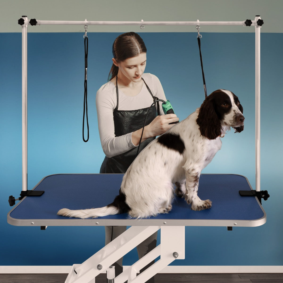 White Hydraulic Grooming Table - Blue Table Top - Used - Acceptable