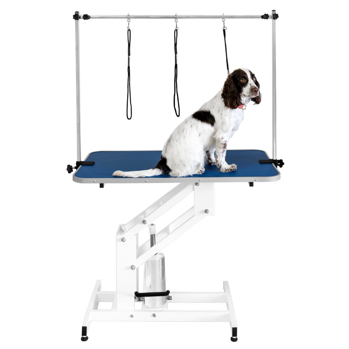 White Hydraulic Grooming Table - Blue Table Top - Used - Acceptable