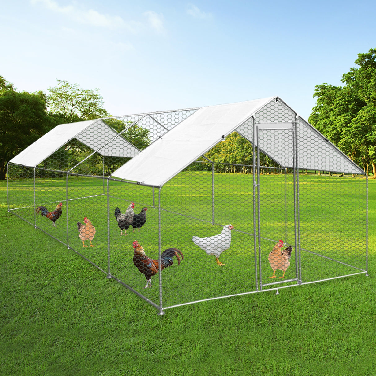 Chicken Run 4m x 8m x 2m - Used - Very Good