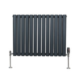 Oval Column Radiator & Valves - 600mm x 780mm – Anthracite Grey - Used - Good