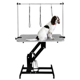 Black Hydraulic Grooming Table - Grey Table Top - Used - Acceptable