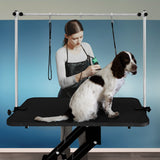 Black Hydraulic Grooming Table - Black Table Top - Used - Good