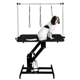 Black Hydraulic Grooming Table - Black Table Top - Used - Good