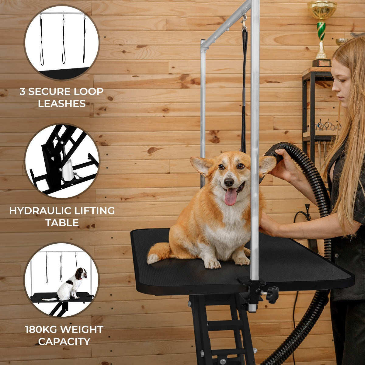 Black Hydraulic Grooming Table - Black Table Top - Used - Very Good