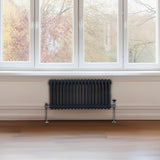 Traditional 2 Column Radiator - 300 x 832mm - Anthracite Grey - Used - Good