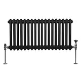 Traditional 2 Column Radiator - 300 x 832mm - Black - Used - Very Good