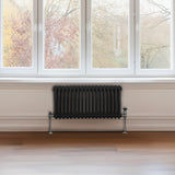 Traditional 2 Column Radiator - 300 x 832mm - Black - Used - Good