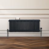 Traditional 2 Column Radiator - 300 x 1012mm - Anthracite Grey - Used - Good
