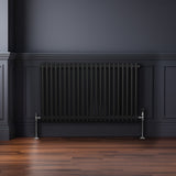 Traditional 2 Column Radiator - 600 x 1012mm - Black - Used - Good