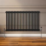 Traditional 2 Column Radiator - 600 x 1012mm - Black - Used - Good