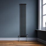 Traditional 2 Column Radiator - 1800 x 292mm - Black - Used - Good