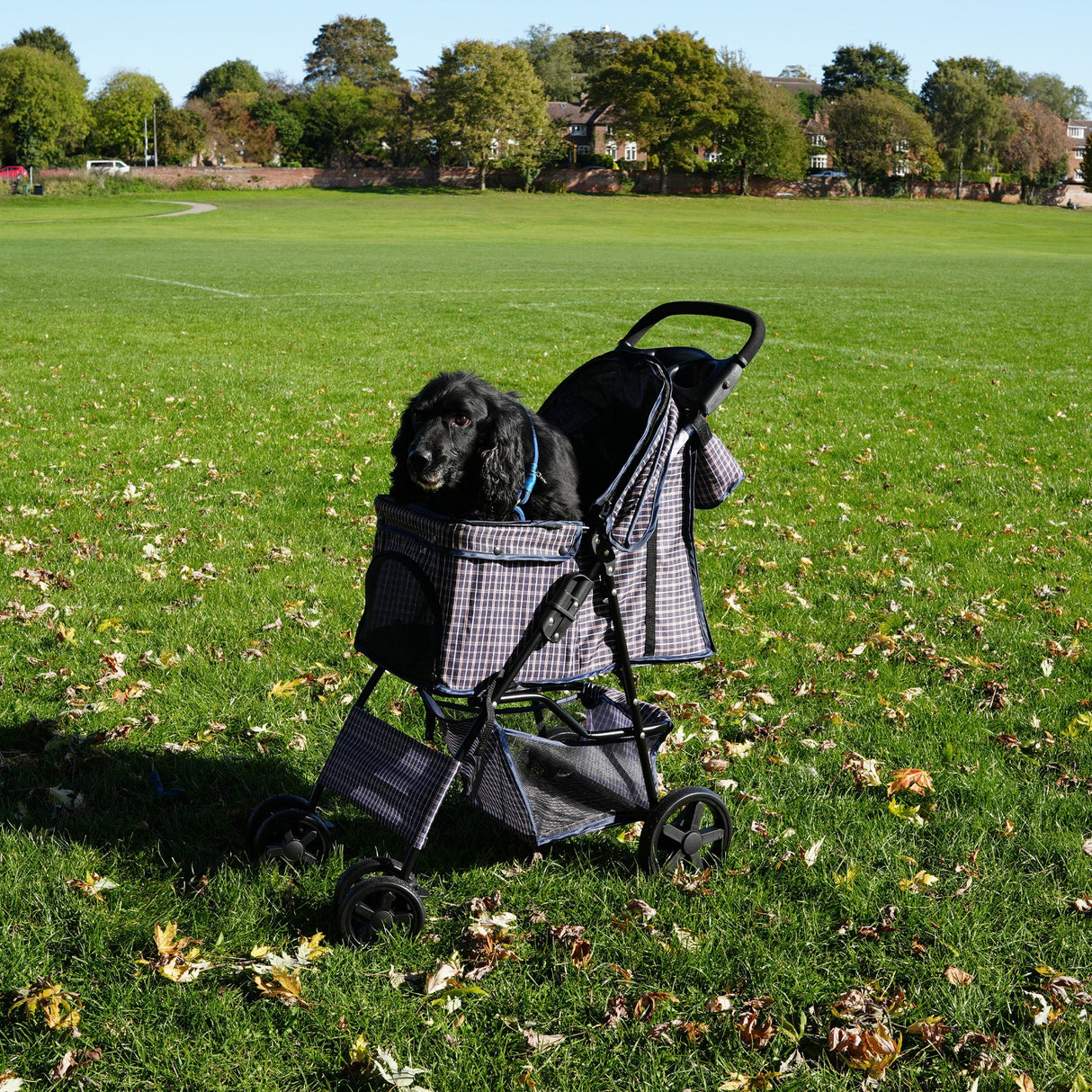 Pet Stroller with Rain Cover & Caddy Bag - Blue Tartan - Used - Good