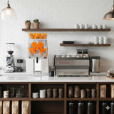 Commercial Fruit Juicer - Used - Acceptable
