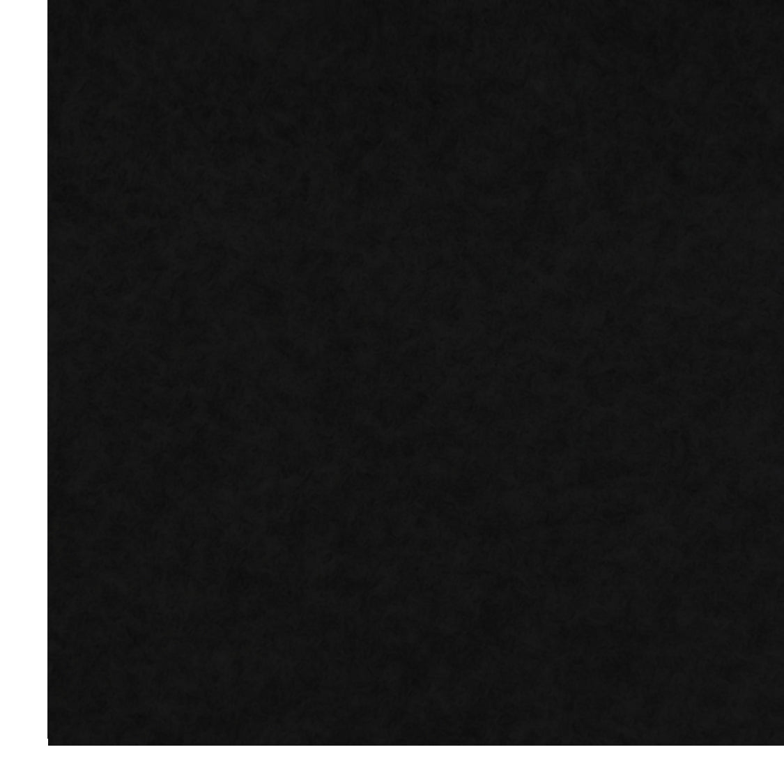 Van Carpet Lining Black - Used - Acceptable