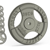 Cast Iron Weight Plates - 1" Standard Tri Grip Pairs (1.25 - 25 kg) - Like New