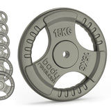 Cast Iron Weight Plates - 1" Standard Tri Grip Pairs (1.25 - 25 kg) - Used - Acceptable