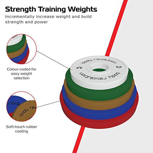 Fractional Bumper Plates - Used - Acceptable