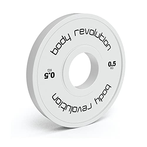 Fractional Bumper Plates - Used - Acceptable