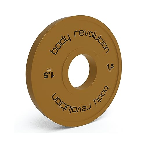 Fractional Bumper Plates - Used - Very Good