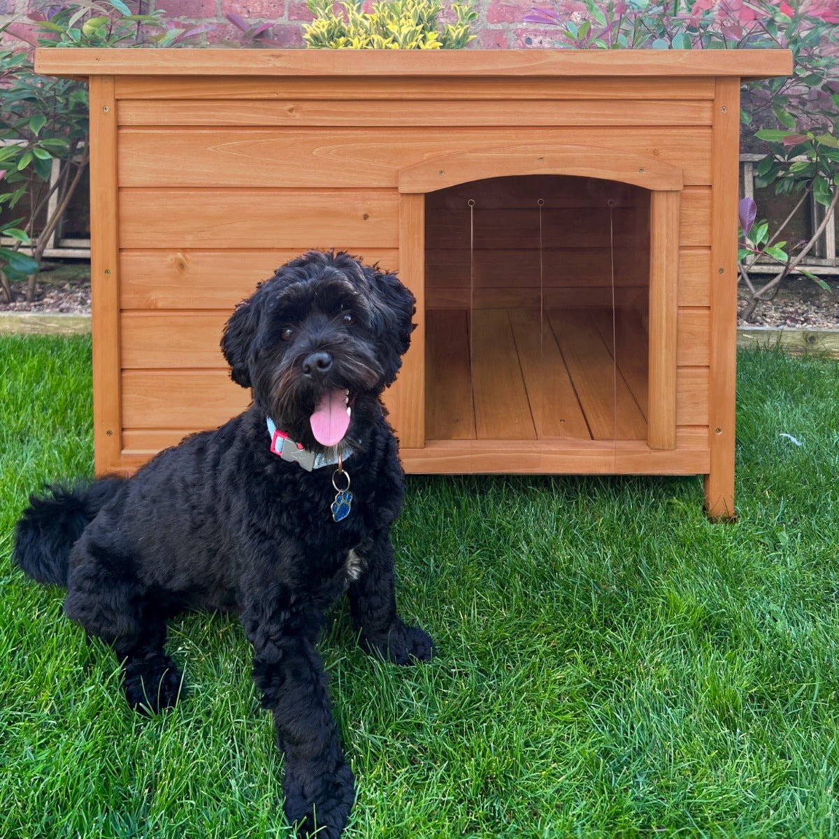 Dog Kennel - Small - Like New