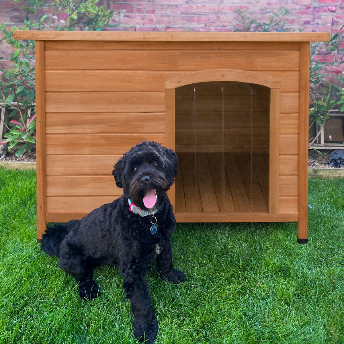 Dog Kennel - Medium - Used - Good