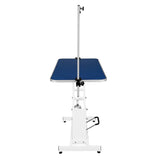 White Hydraulic Grooming Table - Blue Table Top - Like New