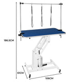 White Hydraulic Grooming Table - Blue Table Top - Like New