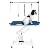 White Hydraulic Grooming Table - Blue Table Top - Like New