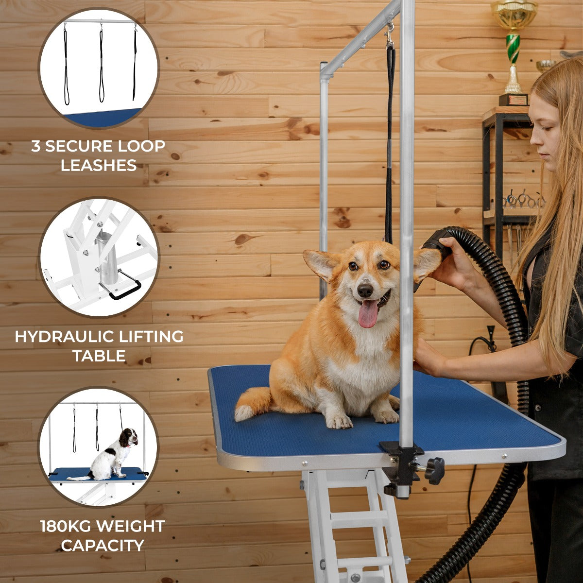 White Hydraulic Grooming Table - Blue Table Top - Like New