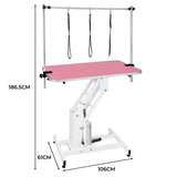 White Hydraulic Grooming Table - Pink Table Top - Like New