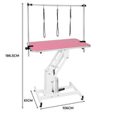 White Hydraulic Grooming Table - Pink Table Top - Used - Very Good