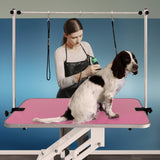 White Hydraulic Grooming Table - Pink Table Top - Used - Acceptable
