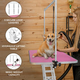 White Hydraulic Grooming Table - Pink Table Top - Used - Acceptable