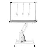 White Hydraulic Grooming Table - Grey Table Top - Used - Very Good