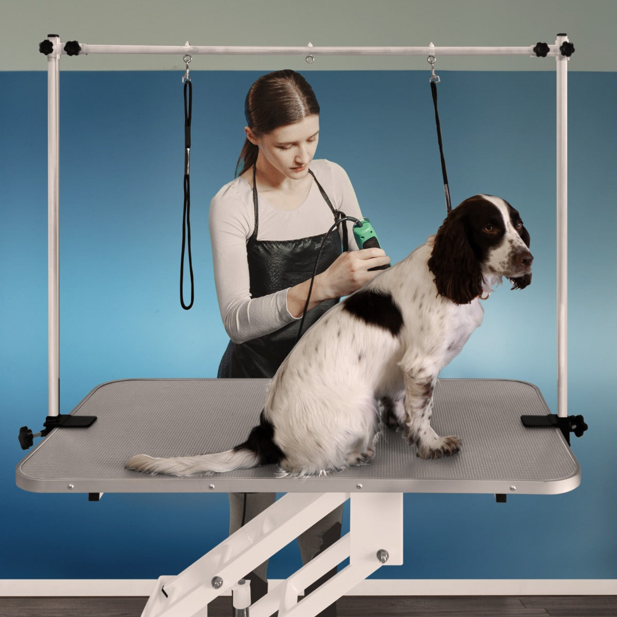 White Hydraulic Grooming Table - Grey Table Top - Used - Acceptable