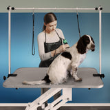 White Hydraulic Grooming Table - Grey Table Top - Used - Very Good