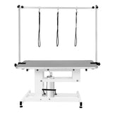 White Hydraulic Grooming Table - Grey Table Top - Used - Very Good