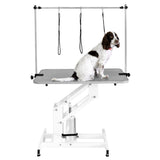White Hydraulic Grooming Table - Grey Table Top - Used - Very Good