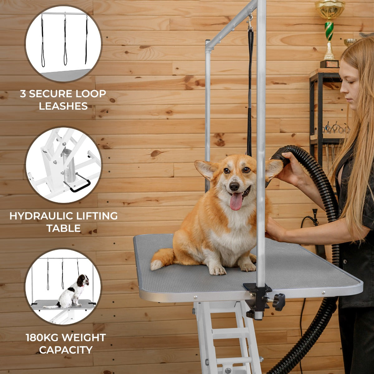 White Hydraulic Grooming Table - Grey Table Top - Used - Very Good