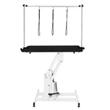 White Hydraulic Grooming Table - Black Table Top - Like New